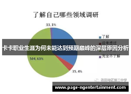 卡卡职业生涯为何未能达到预期巅峰的深层原因分析
