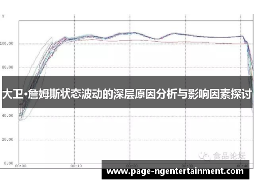 大卫·詹姆斯状态波动的深层原因分析与影响因素探讨