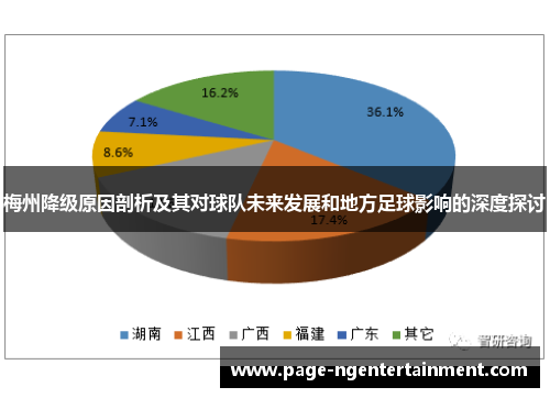 梅州降级原因剖析及其对球队未来发展和地方足球影响的深度探讨