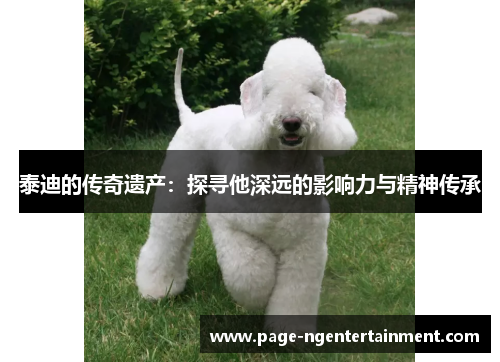 泰迪的传奇遗产：探寻他深远的影响力与精神传承