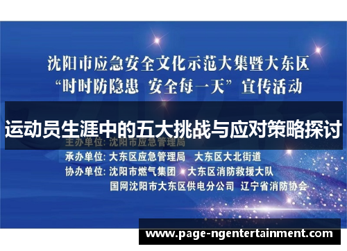 运动员生涯中的五大挑战与应对策略探讨