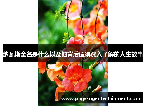 纳瓦斯全名是什么以及他背后值得深入了解的人生故事