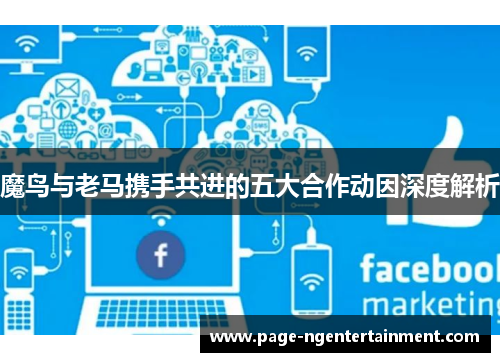 魔鸟与老马携手共进的五大合作动因深度解析
