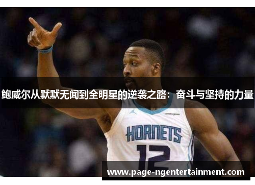 鲍威尔从默默无闻到全明星的逆袭之路：奋斗与坚持的力量