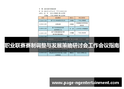 职业联赛赛制调整与发展策略研讨会工作会议指南