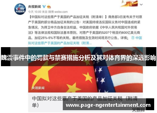 魏震事件中的罚款与禁赛措施分析及其对体育界的深远影响